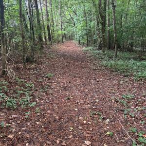 Photo #7 of 270 Guinea Mill, Moyock, NC 10.1 acres
