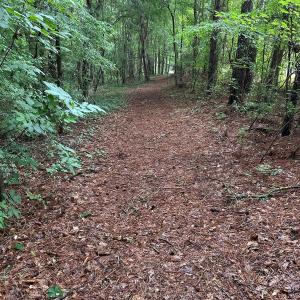 Photo #8 of 270 Guinea Mill, Moyock, NC 10.1 acres