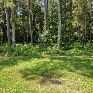 Photo #13 of State Road 1948, Edward, NC 1.9 acres