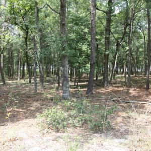 Photo #13 of 1809 Harbour Edge, Supply, NC 0.6 acres