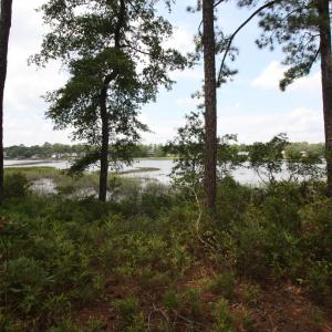 Photo #5 of 1809 Harbour Edge, Supply, NC 0.6 acres