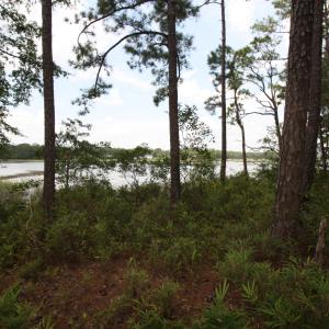 Photo #7 of 1809 Harbour Edge, Supply, NC 0.6 acres