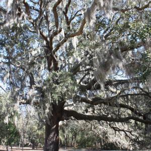 Photo #43 of 1809 Harbour Edge, Supply, NC 0.6 acres