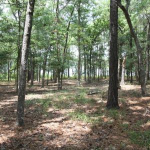 Photo #15 of 1809 Harbour Edge, Supply, NC 0.6 acres