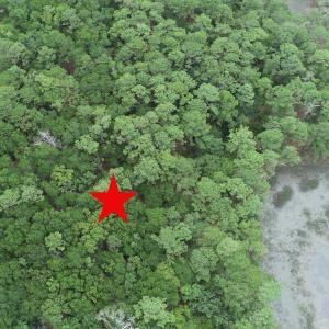 Photo #6 of 1809 Harbour Edge, Supply, NC 0.6 acres