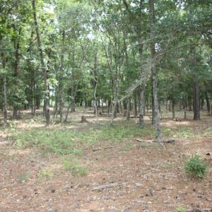 Photo #11 of 1809 Harbour Edge, Supply, NC 0.6 acres