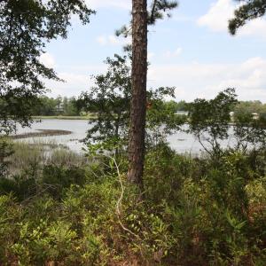 Photo #3 of 1809 Harbour Edge, Supply, NC 0.6 acres