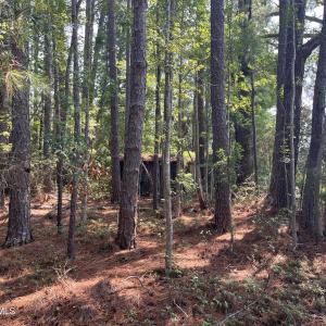 Photo #10 of 94 Whortonsville, Merritt, NC 10.1 acres