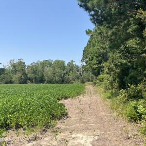 Photo #2 of 94 Whortonsville, Merritt, NC 10.1 acres