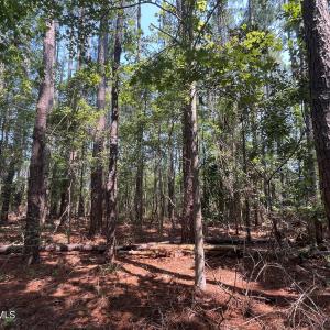 Photo #7 of 94 Whortonsville, Merritt, NC 10.1 acres