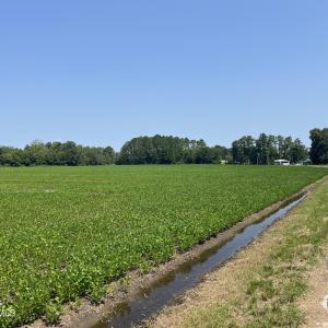 Photo #1 of 94 Whortonsville, Merritt, NC 10.1 acres