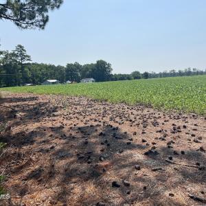 Photo #8 of 94 Whortonsville, Merritt, NC 10.1 acres