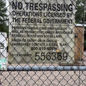 Photo #4 of 5558 Lloyd, Lucama, NC 34.4 acres
