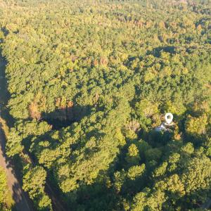 Photo #10 of Truth, New Hill, NC 4.5 acres