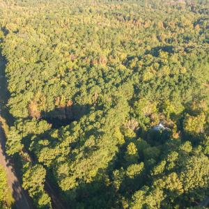Photo #4 of Truth, New Hill, NC 4.5 acres
