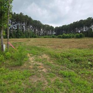 Photo #1 of Lot 51 Roseheath, Bailey, NC 1.0 acres