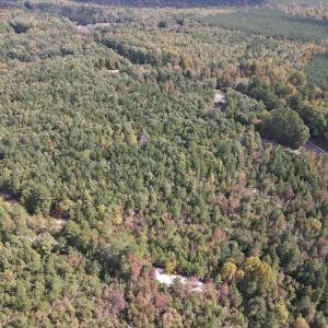 DJI_0277