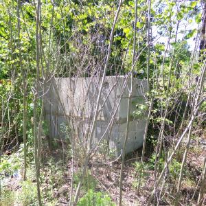 Photo #13 of 4766 Old Wire, Red Springs, NC 30.6 acres