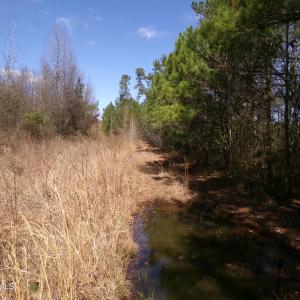 Photo #1 of 4766 Old Wire, Red Springs, NC 30.6 acres