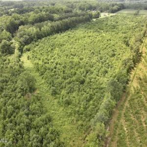 Photo #11 of 15 Rainbow, Scotland Neck, NC 14.2 acres