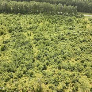 Photo #13 of 15 Rainbow, Scotland Neck, NC 14.2 acres