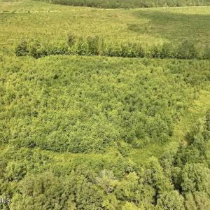 Photo #8 of 15 Rainbow, Scotland Neck, NC 14.2 acres