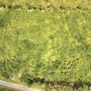 Photo #21 of 15 Rainbow, Scotland Neck, NC 14.2 acres