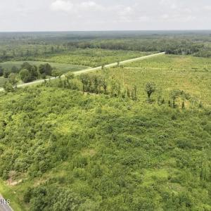 Photo #6 of 15 Rainbow, Scotland Neck, NC 14.2 acres