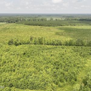 Photo #7 of 15 Rainbow, Scotland Neck, NC 14.2 acres
