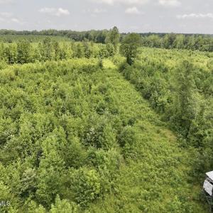 Photo #18 of 15 Rainbow, Scotland Neck, NC 14.2 acres