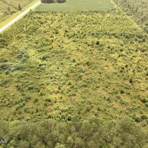 Photo #12 of Hwy 561, Halifax, NC 24.5 acres