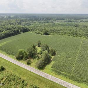 Photo #18 of Hwy 561, Halifax, NC 24.5 acres