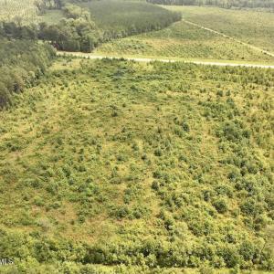 Photo #10 of Hwy 561, Halifax, NC 24.5 acres