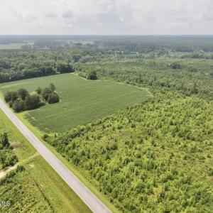 Photo #15 of Hwy 561, Halifax, NC 24.5 acres