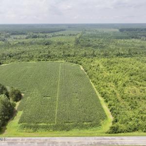 Photo #16 of Hwy 561, Halifax, NC 24.5 acres