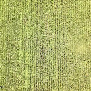 Photo #20 of Hwy 561, Halifax, NC 24.5 acres