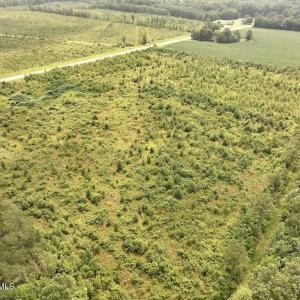 Photo #11 of Hwy 561, Halifax, NC 24.5 acres