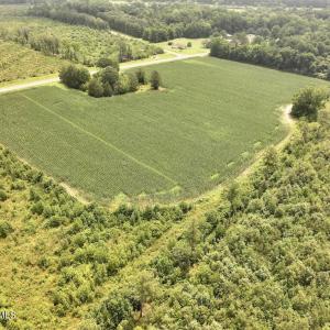 Photo #7 of Hwy 561, Halifax, NC 24.5 acres