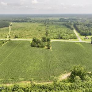 Photo #6 of Hwy 561, Halifax, NC 24.5 acres