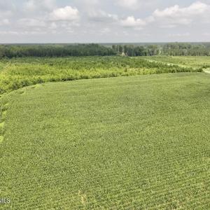 Photo #24 of Hwy 561, Halifax, NC 24.5 acres