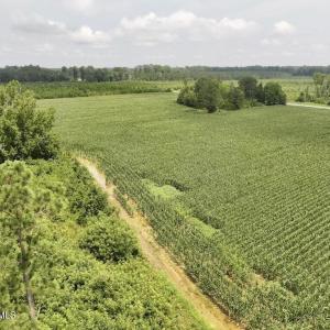 Photo #25 of Hwy 561, Halifax, NC 24.5 acres