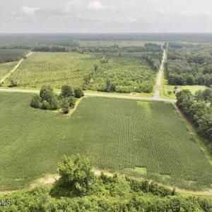 Photo #5 of Hwy 561, Halifax, NC 24.5 acres