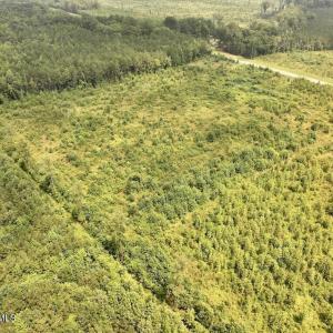 Photo #9 of Hwy 561, Halifax, NC 24.5 acres