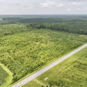 Photo #17 of Hwy 561, Halifax, NC 24.5 acres
