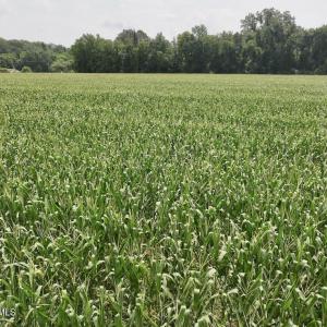 Photo #23 of Hwy 561, Halifax, NC 24.5 acres