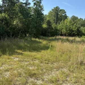 Photo #7 of Gully Creek, Leland, NC 25.6 acres