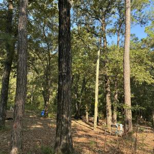 Photo #5 of Gully Creek, Leland, NC 25.6 acres