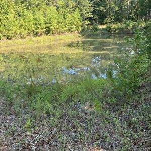 Photo #2 of Gully Creek, Leland, NC 25.6 acres