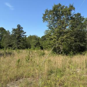 Photo #1 of Gully Creek, Leland, NC 25.6 acres