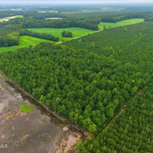 Photo #4 of Saintsville, Greenville, NC 11.5 acres